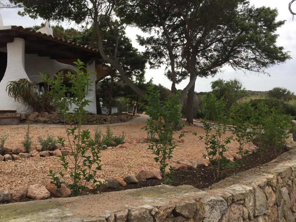 Appartamenti In Villa La Marinedda ايزولا روسا المظهر الخارجي الصورة